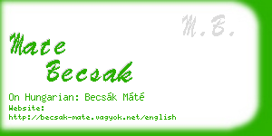 mate becsak business card